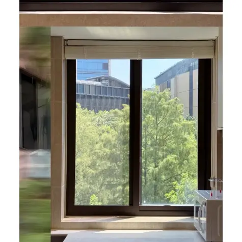 Aluminum Alloy Sliding Windows